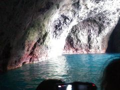 ܂񂳂̏M̓AN[Yւ̓eʐ^1