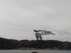 ܂񂳂̏M̓AN[Yւ̓eʐ^2