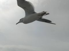 ܂񂳂̏M̓AN[Yւ̓eʐ^3