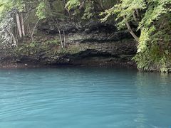 䂫񂳂̃hbv@AEghAKChT[rXւ̓eʐ^1