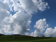 yosshỹiC^CqiC^CeX̓eʐ^7