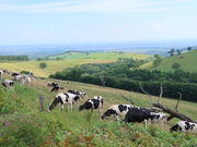 yosshỹiC^CqiC^CeX̓eʐ^8