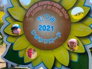 ��������̂ނ݂̍؂̉Ԕ��^�؂̉Ԃ̓��e�ʐ^1