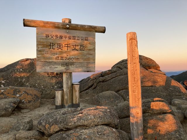 ���̏o��^���ʂ��猩�����Ă����R���W��_�k�����x