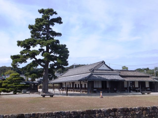 �֏��������Ƃ��ẮA�����ŗB�ꌻ������M�d�ȑ��݁B_�V���֐�