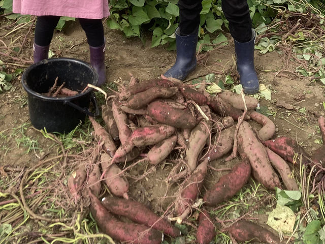 ���ɂ���������_������