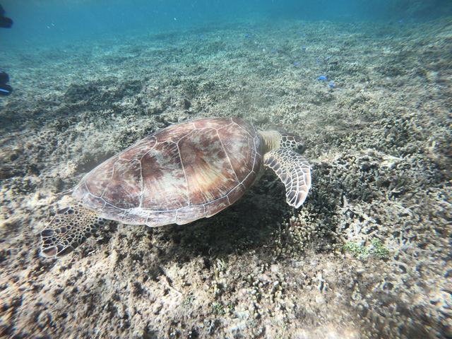 ƂĂ߂ňꏏɉj܂_{ÓSUP STYLE