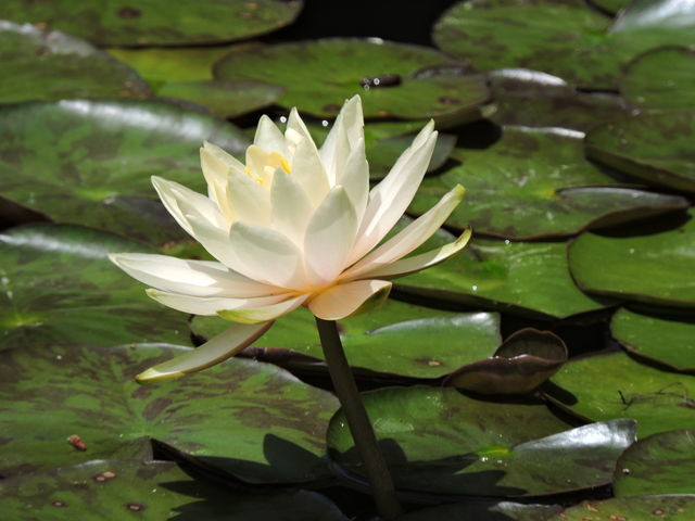 ͒jN̖t@iڂ񎛁j̓eʐ^3