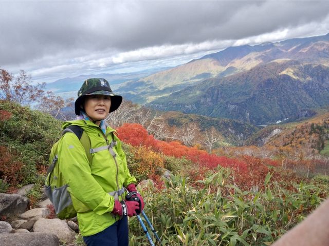 �g�t�ō�������_���R�i���x�j