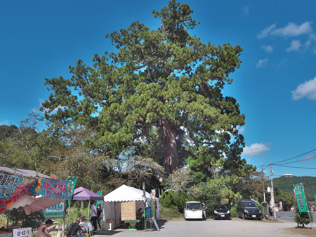 sklfh����̈��c�̑吙�̓��e�ʐ^1