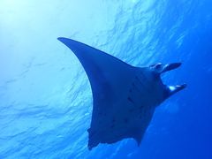 yasuko.ĩCgΊ__CrOVbvւ̓eʐ^1