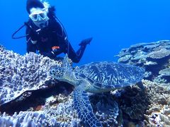 EmĩCgΊ__CrOVbvւ̓eʐ^1