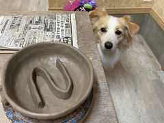 Ђ˂̓|̌@TH[ւ̓eʐ^1