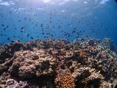 ݂ق̃ANAJ[Yւ̓eʐ^1