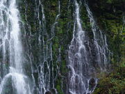 ̏̏ƎR[@ܐFP̓eʐ^1