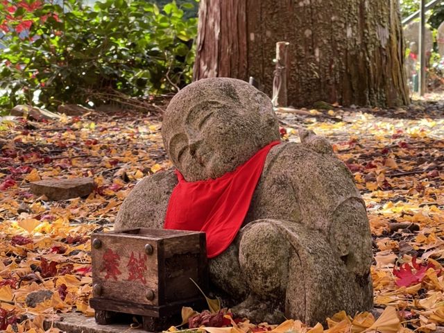 ������邨�n�����܂������܂����B_�嚠��