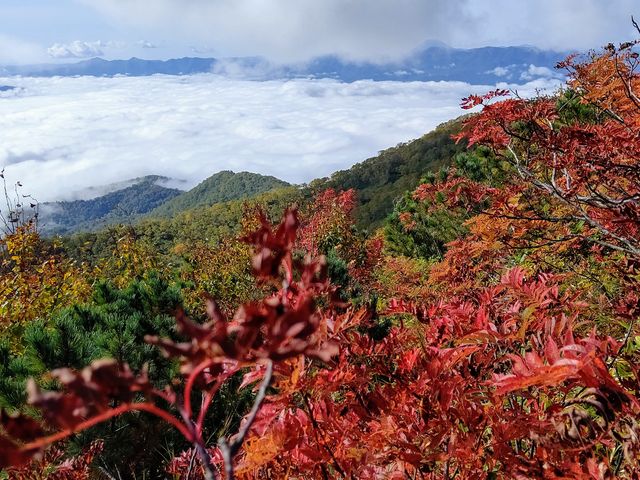 ���ΘH�΂̉_�C�z���Ɉ����x��]�ސ�i�͑��ՎR�Ȃ�ł́B���w���ł��o���ł����y�Ȑ�i�X�|�b�g�ł��B_���������������� ���ՎR