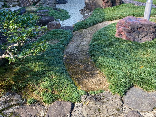 ��_�s���y��_��_�s���y��