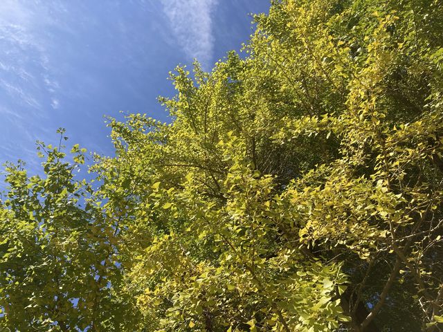 Ƃ񂳂̍p̃IIC`E̓eʐ^3