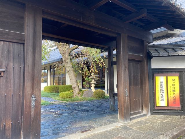 ��_�s���y��_��_�s���y��