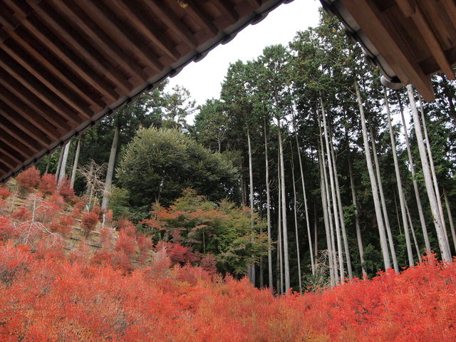 ���̃A���O�����炾�Ƃ���ɂ�����_�ێR�ω���