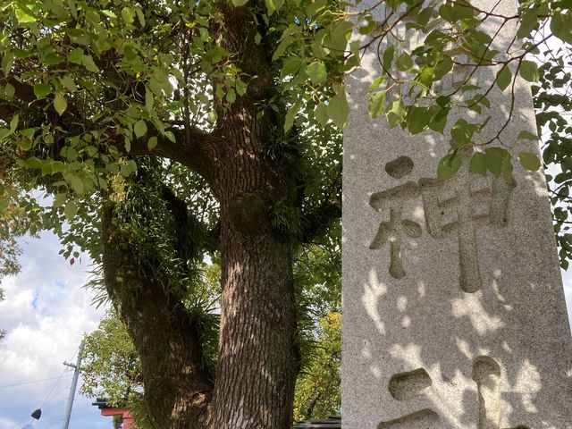 �����_�Ёu��_�̗N���v_�����_�Ёu��_�̗N���v