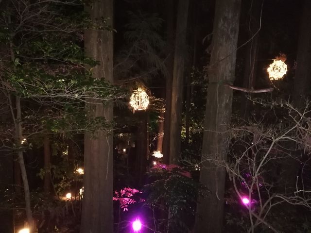 ���C�g�A�b�v���Ă���A�v���[�`_�S�{�쉷�򂠂���