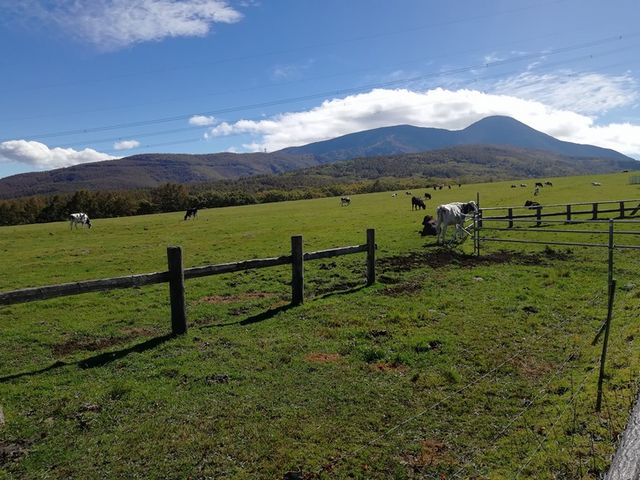 �������ȎR_���ȑ��q��