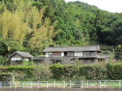 0f615_0005316184_1.JPG