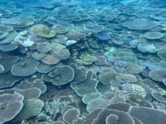 tomõ}T[rX@pb\ւ̓eʐ^1