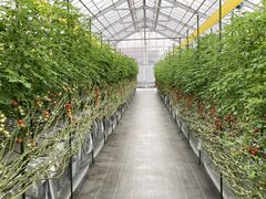 ̂Ȃ̂ǂEEH[^[Et@[ւ̓eʐ^1