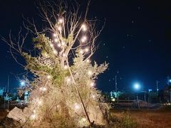 �܂悳���WILDBEACH�؍X�Âւ̓��e�ʐ^1