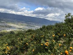 �J�����������GREEN JUNCTION�ւ̓��e�ʐ^1