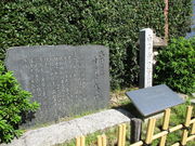 ̂䂫̔ΐY@Ղ̓eʐ^1