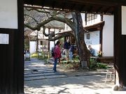 }T񂳂̋F@ eB[[̓eʐ^3