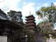 一期一会さんの竹林寺（高知県高知市）への投稿写真2