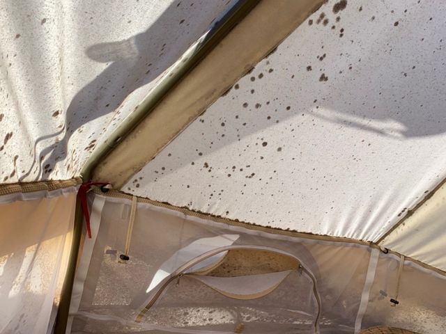 �e���g���J�r_PREMIEREYOKOHAMA�̒�`��Ƒ�n�̌b�݂�BBQ�`