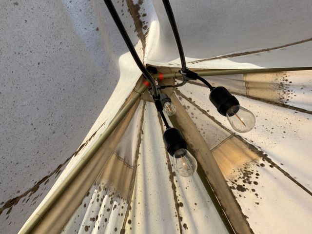 �e���g���J�r_PREMIEREYOKOHAMA�̒�`��Ƒ�n�̌b�݂�BBQ�`