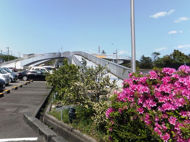 ԏꂩlXElC݂Ɍ_̉w p[Nl