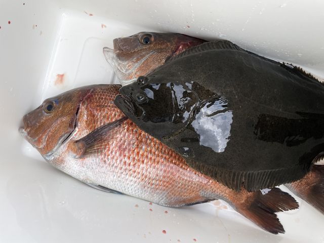 �X�̓o�P�c��t�R�O�O�~�Ŕ̔����Ă܂����B_�������t�B�b�V���O�p�[�N