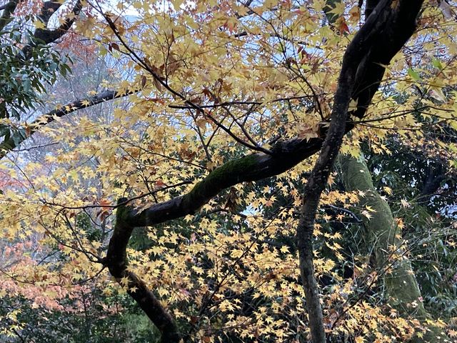 �Ɣn���̍g�t_�Ɣn�R