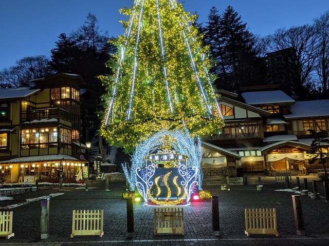 �[��ꎞ�̃c���[_���Ó���