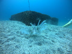 炳̈ɓ_CrOXN[@ۂĂւ̓eʐ^1