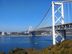 �����[����֖̊勴�ւ̓��e�ʐ^1