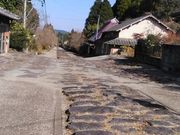 ҂Ƃ񂳂̍sΏiQΌ㓹Hj̓eʐ^1