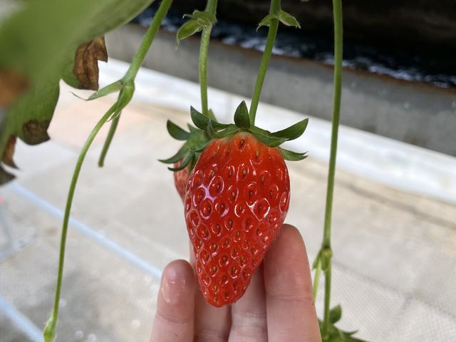 ���������������ł���
_������������