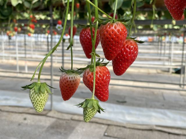 ����Ȋ����łȂ��Ă܂���_������������