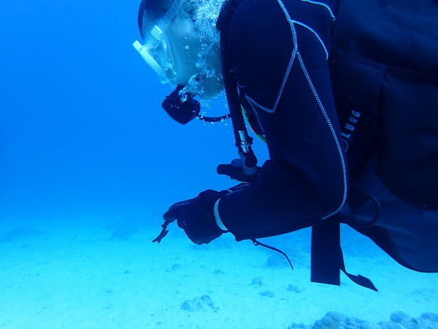 �R���p�X���g���āA�w��̕����ɐi�݂܂��B_R-MATES Okinawa Diving Club