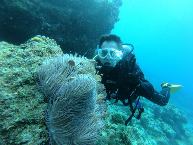 �X���A������R�A�A_R-MATES Okinawa Diving Club