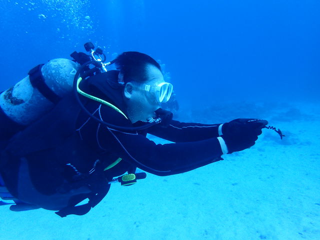 �R���p�X���g�����A���z�I�Ȏp���H��_R-MATES Okinawa Diving Club